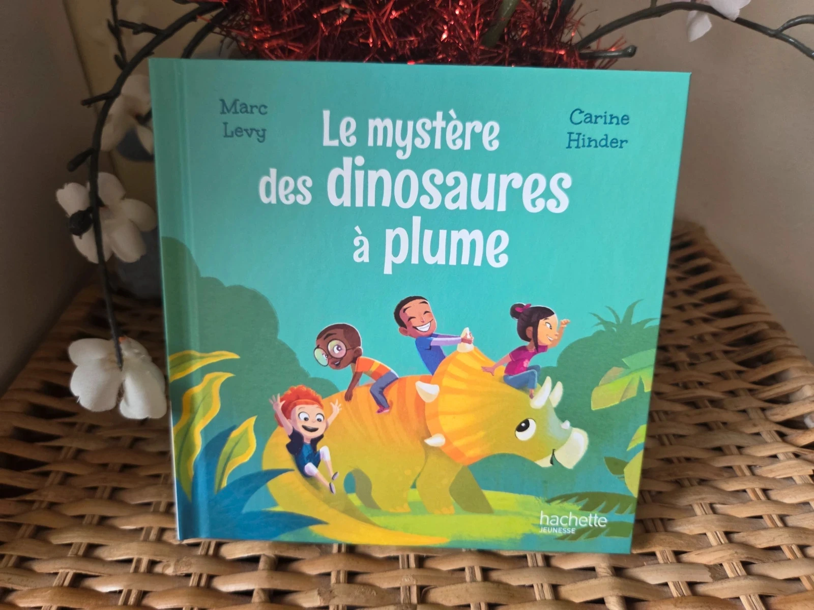 💜Les mystère des dinosaures à plumes livre enfant